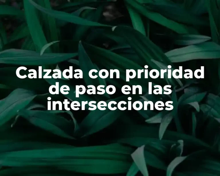Calzada con prioridad de paso en las intersecciones
