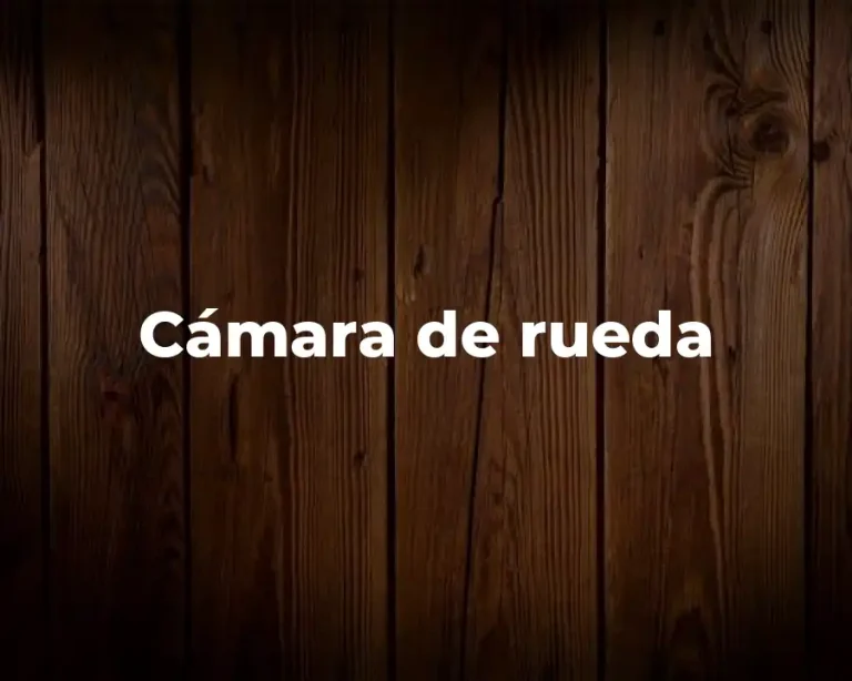 Cámara de rueda