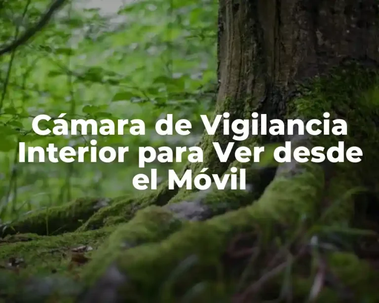 Cámara de Vigilancia Interior para Ver desde el Móvil