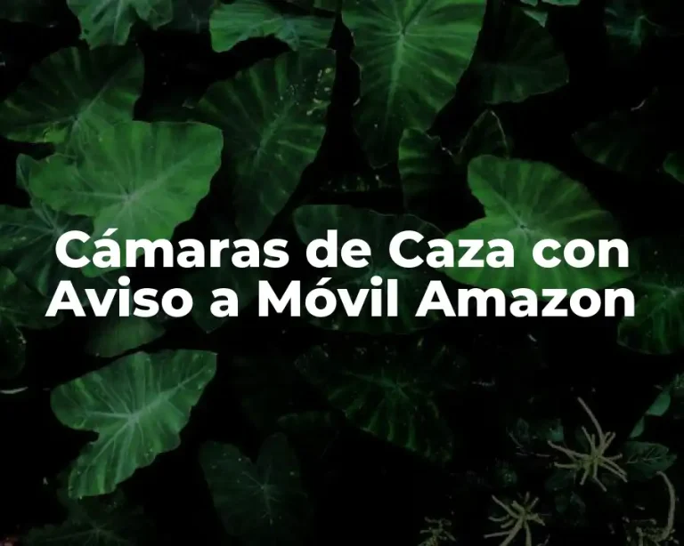 Cámaras de Caza con Aviso a Móvil Amazon