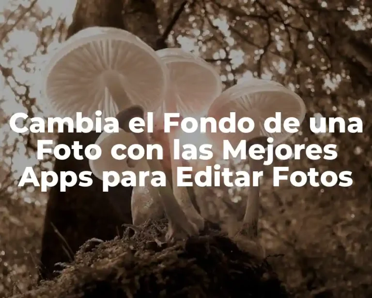 Cambia el Fondo de una Foto con las Mejores Apps para Editar Fotos