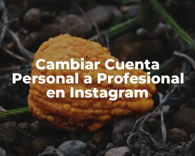 Cambiar Cuenta Personal a Profesional en Instagram
