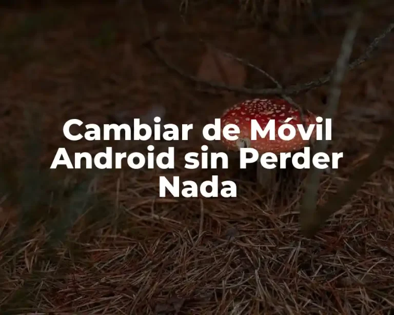 Cambiar de Móvil Android sin Perder Nada