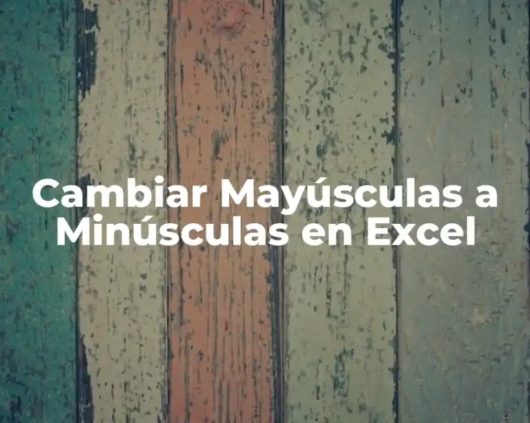 Cambiar Mayúsculas a Minúsculas en Excel