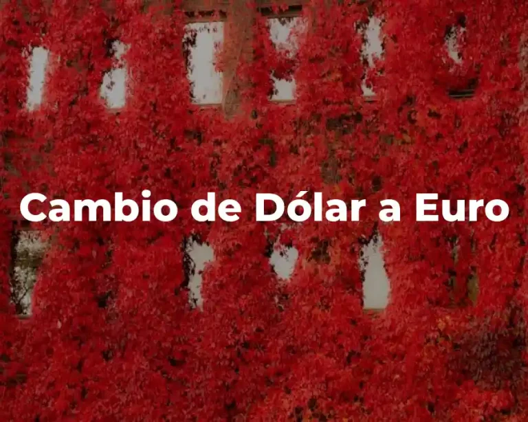 Cambio de Dólar a Euro