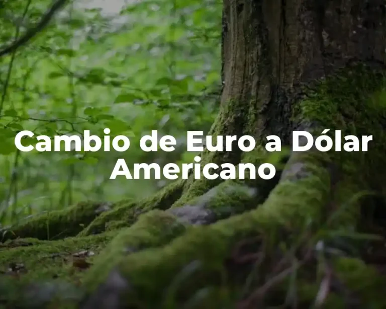Cambio de Euro a Dólar Americano