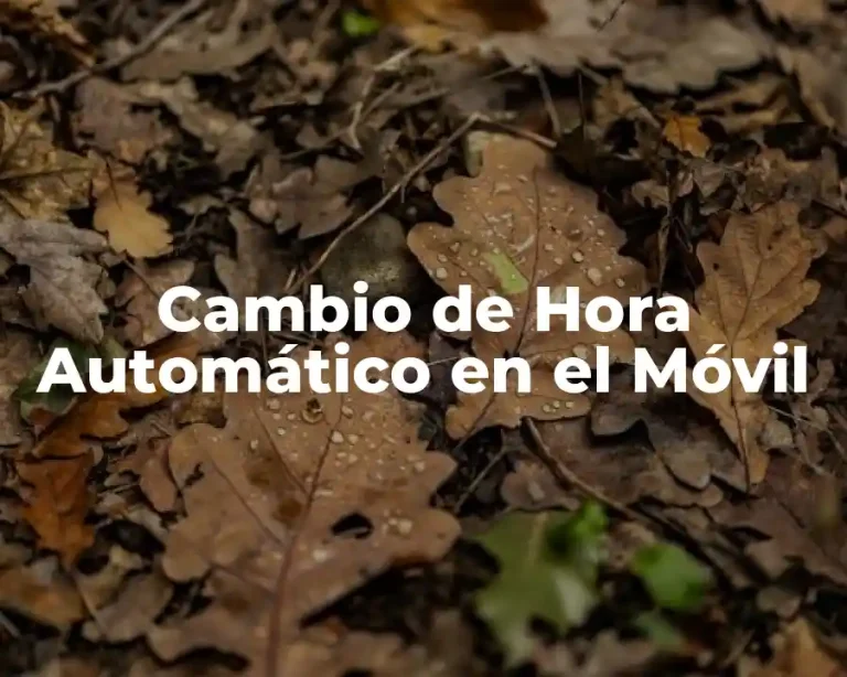 Cambio de Hora Automático en el Móvil