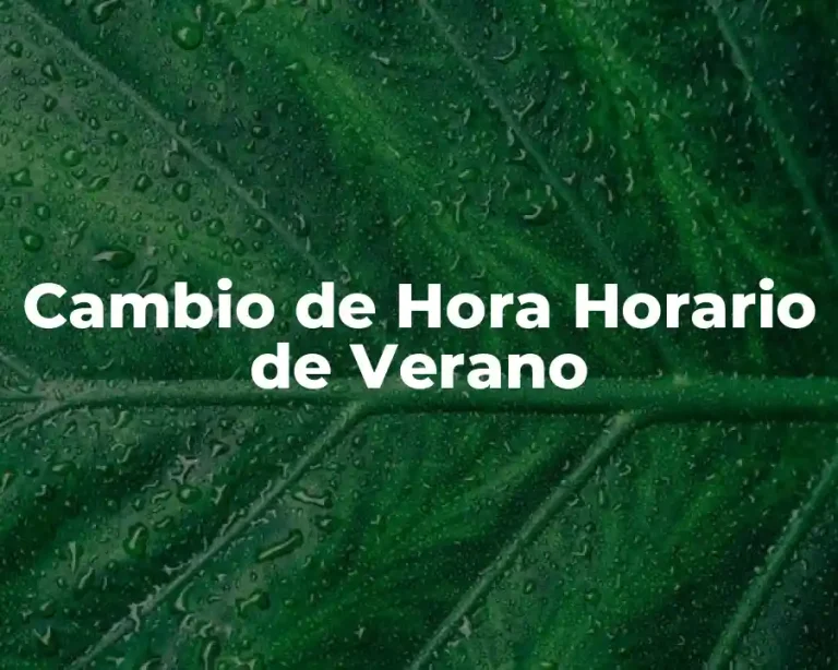 Cambio de Hora Horario de Verano