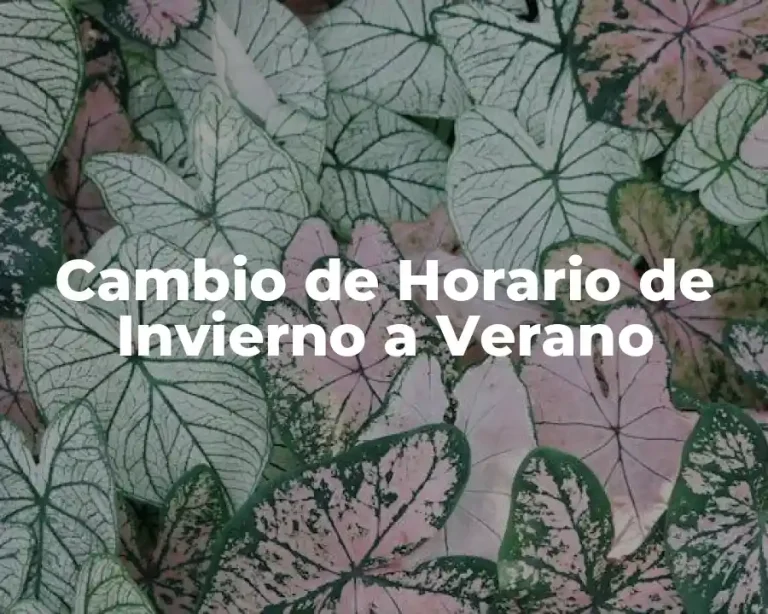 Cambio de Horario de Invierno a Verano