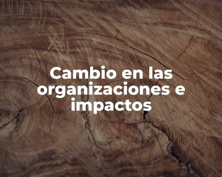 Cambio en las organizaciones e impactos