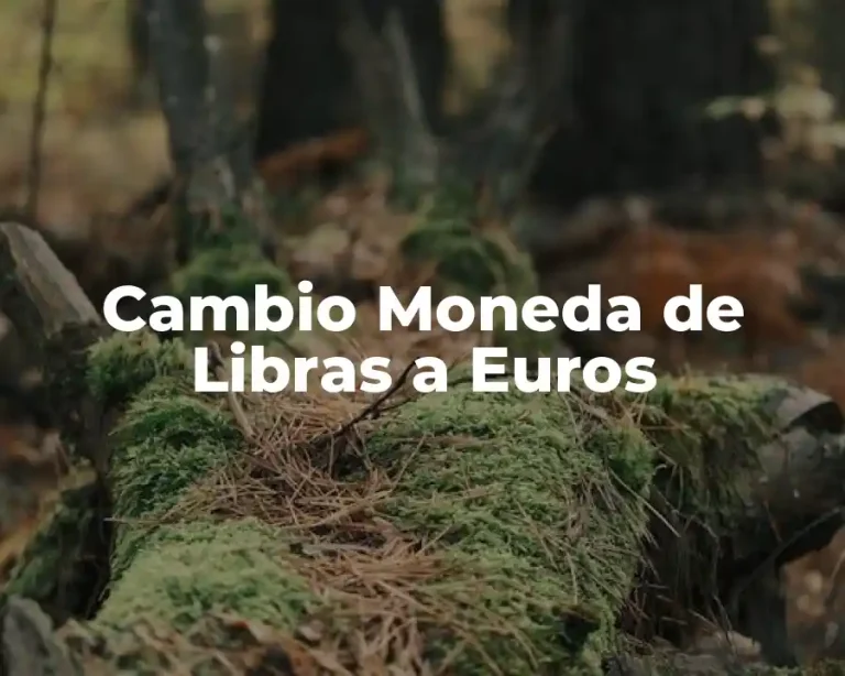 Cambio Moneda de Libras a Euros