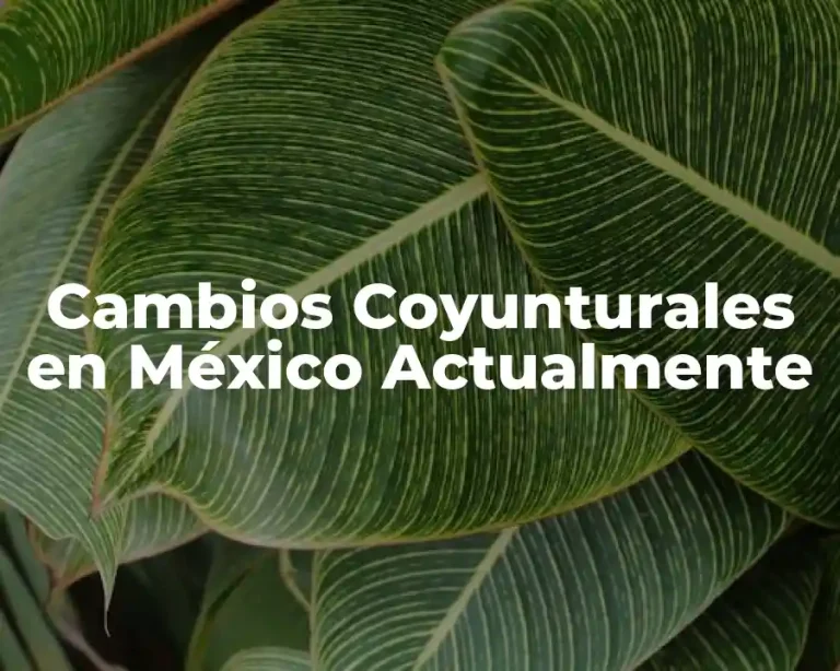 Cambios Coyunturales en México Actualmente