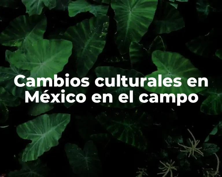 Cambios culturales en México en el campo