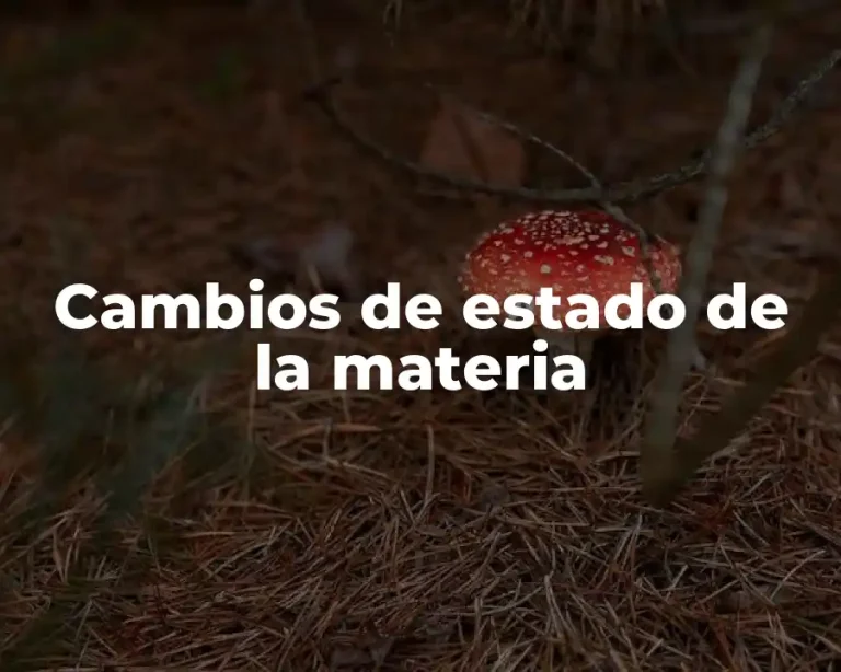 Cambios de estado de la materia