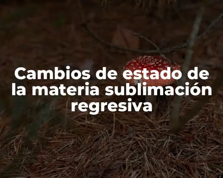 Cambios de estado de la materia sublimación regresiva