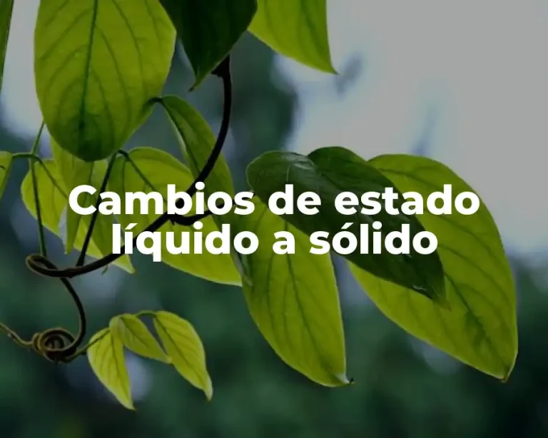 Cambios de estado líquido a sólido