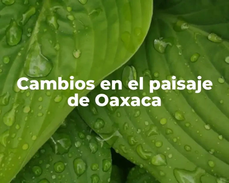 Cambios en el paisaje de Oaxaca