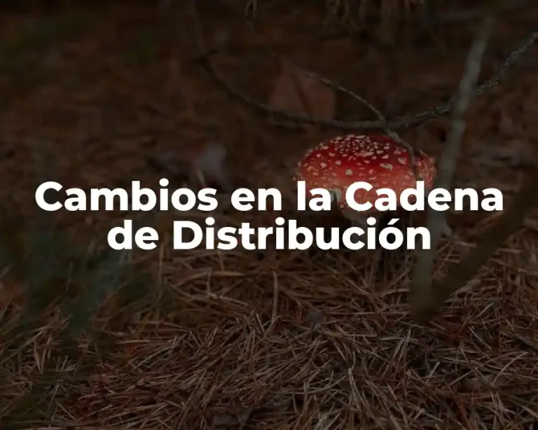 Cambios en la Cadena de Distribución