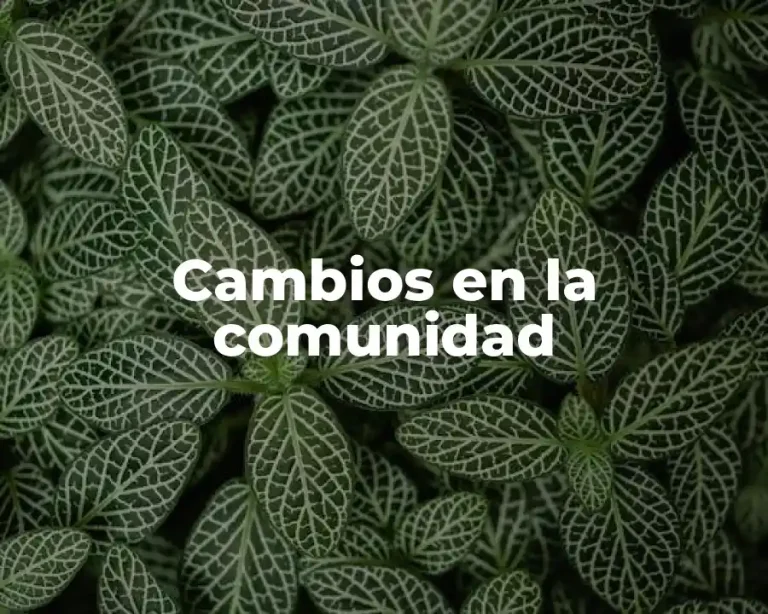 Cambios en la comunidad