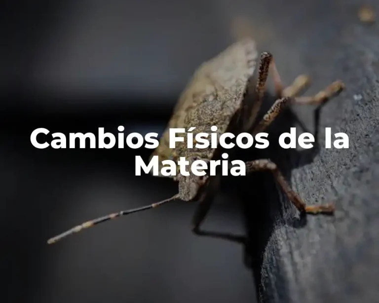 Cambios Físicos de la Materia