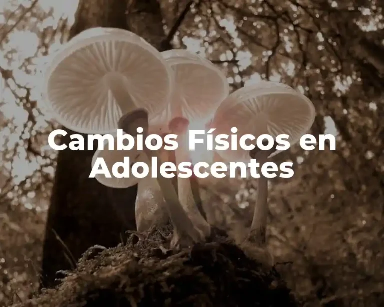 Cambios Físicos en Adolescentes