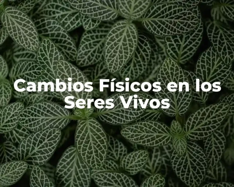 Cambios Físicos en los Seres Vivos