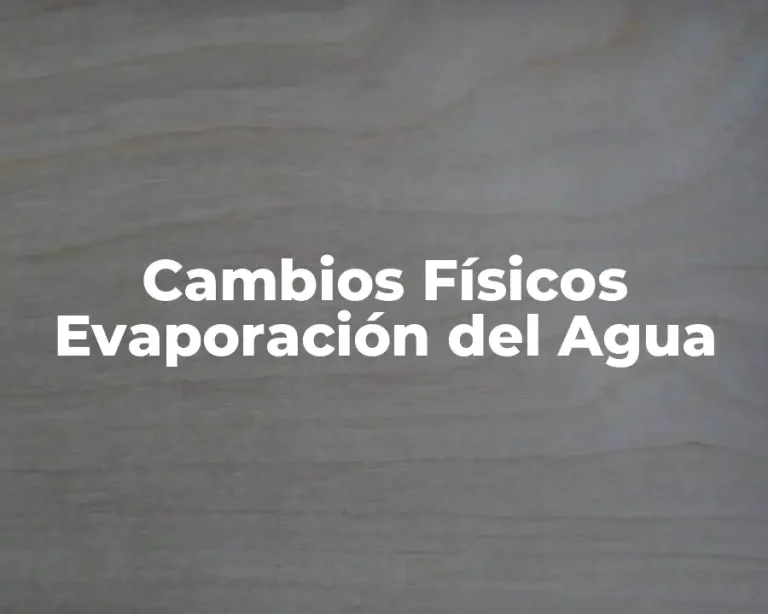 Cambios Físicos Evaporación del Agua