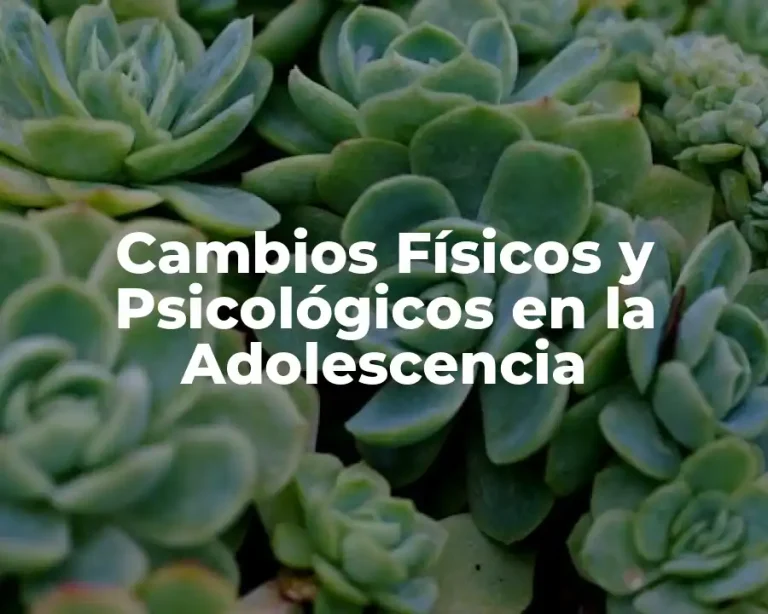 Cambios Físicos y Psicológicos en la Adolescencia