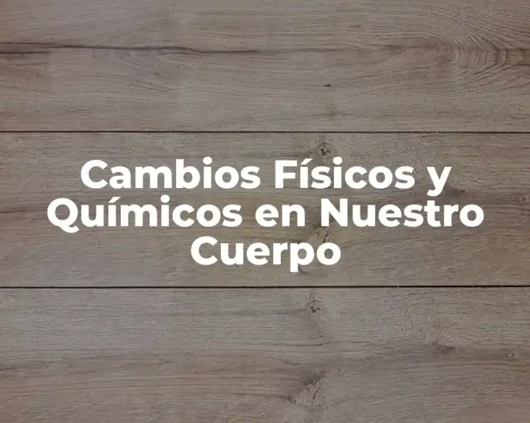 Cambios Físicos y Químicos en Nuestro Cuerpo