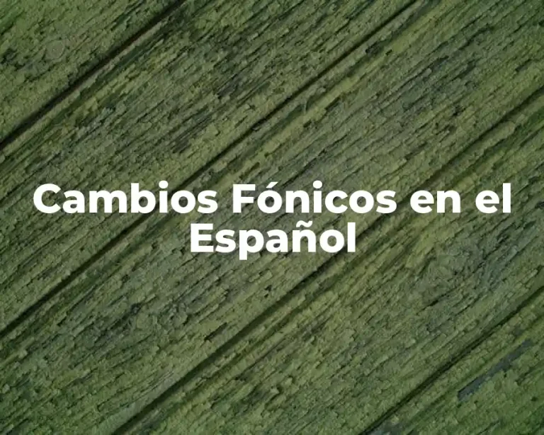 Cambios Fónicos en el Español