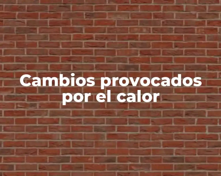 Cambios provocados por el calor