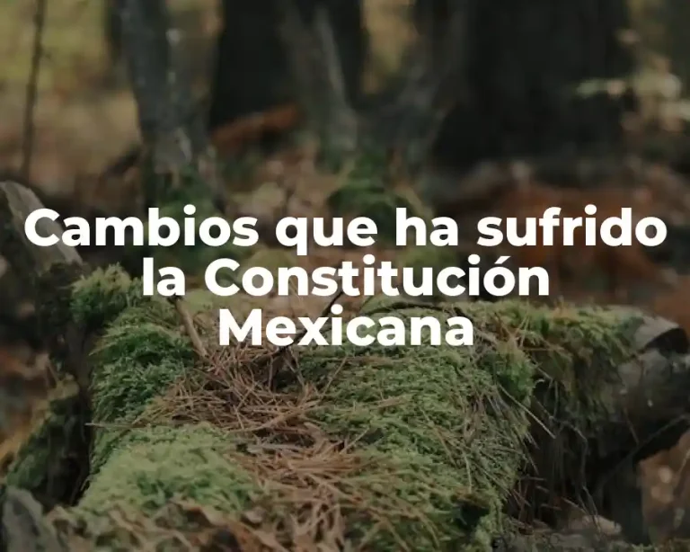 Cambios que ha sufrido la Constitución Mexicana