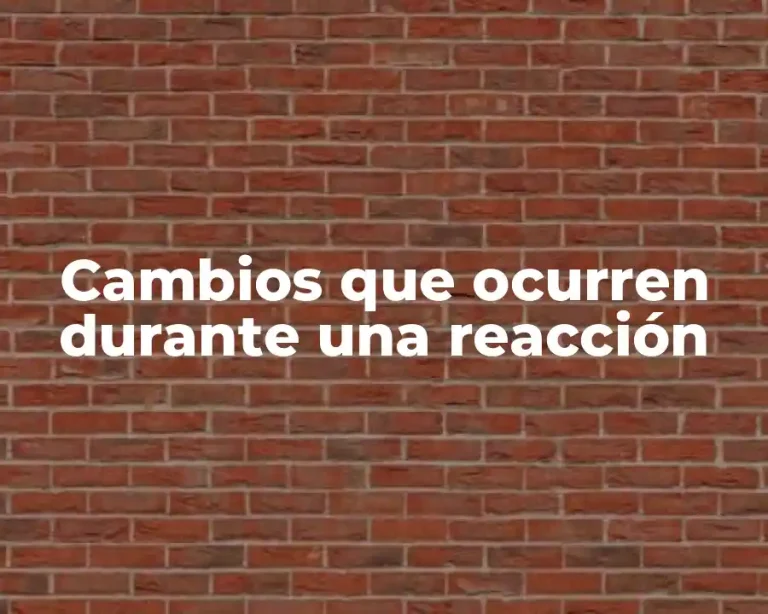 Cambios que ocurren durante una reacción