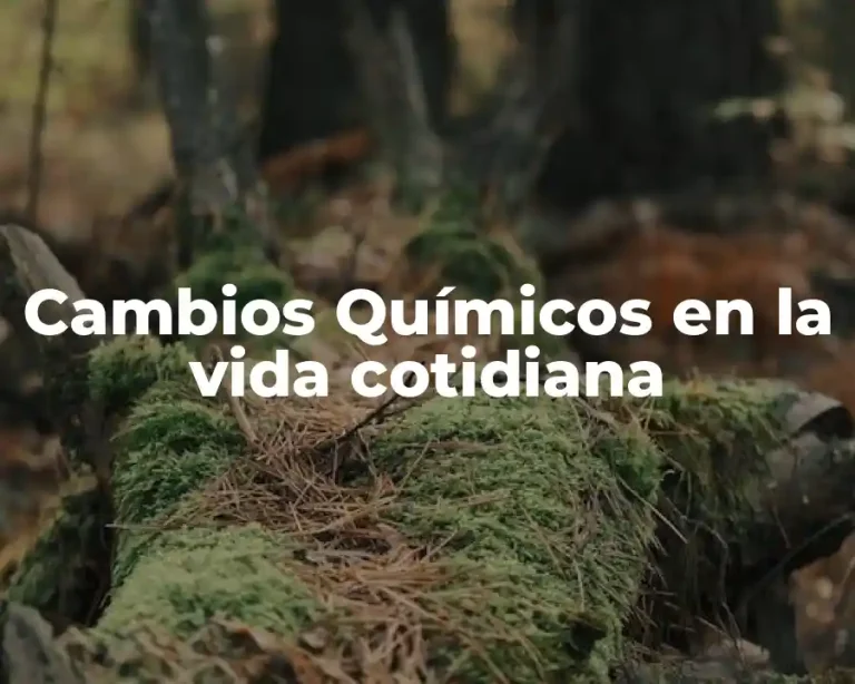 Cambios Químicos en la vida cotidiana