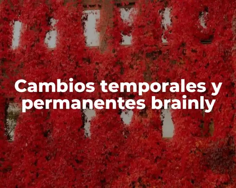 Cambios temporales y permanentes brainly