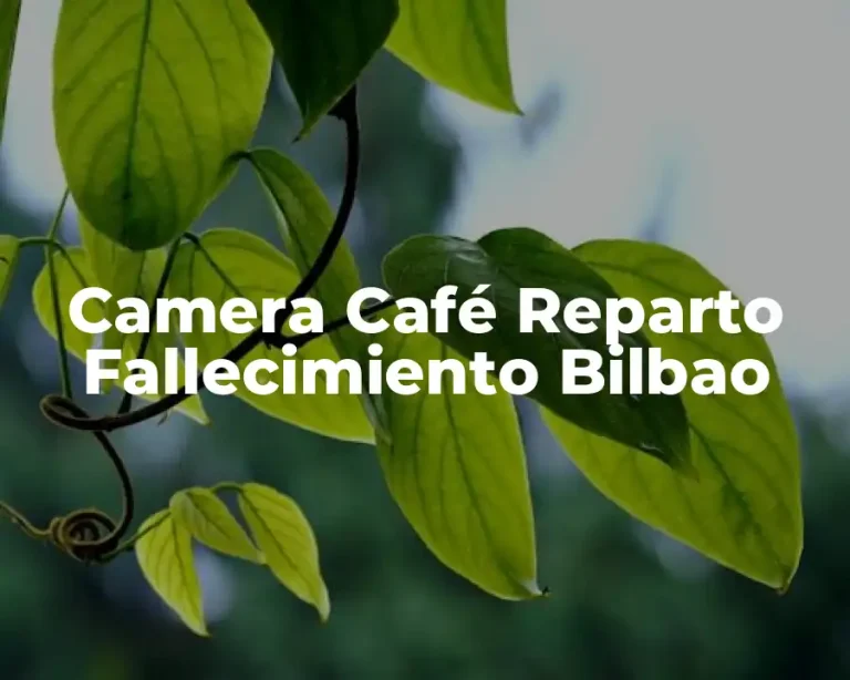 Camera Café Reparto Fallecimiento Bilbao