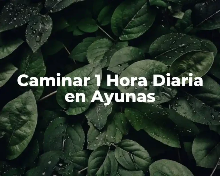 Caminar 1 Hora Diaria en Ayunas