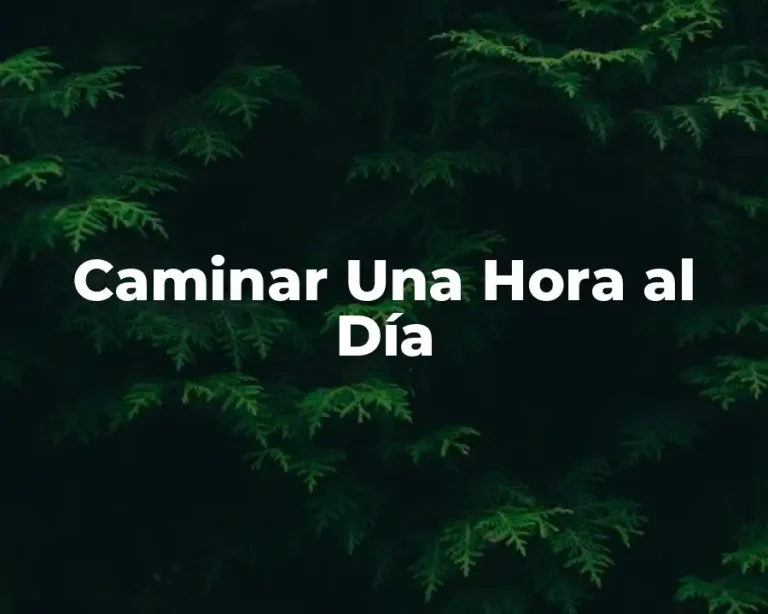 Caminar Una Hora al Día