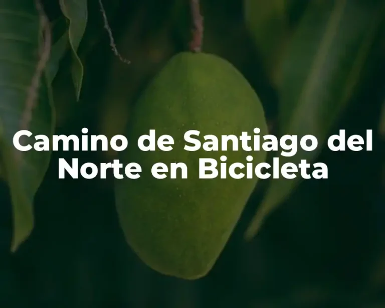 Camino de Santiago del Norte en Bicicleta