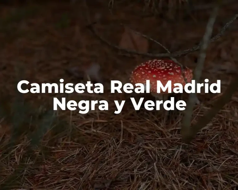 Camiseta Real Madrid Negra y Verde