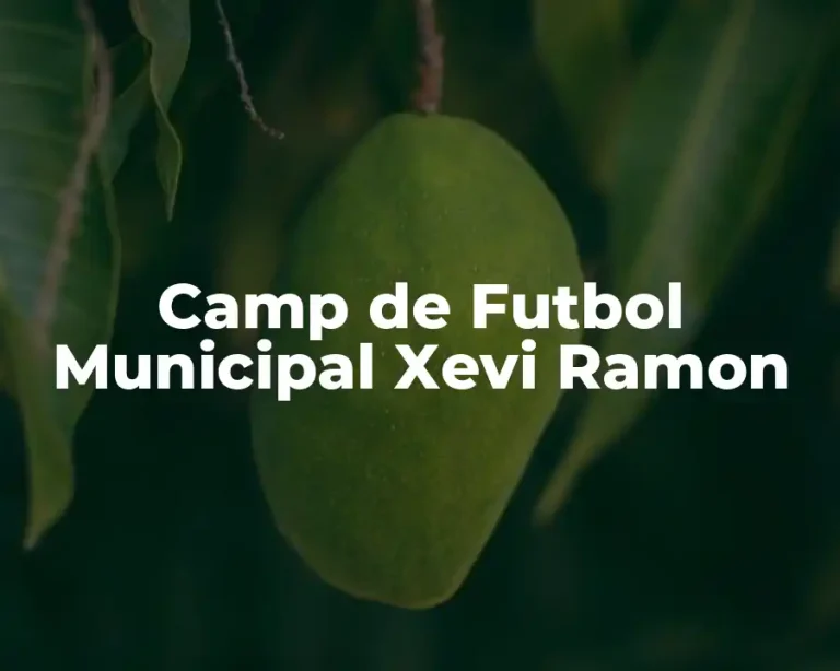 Camp de Futbol Municipal Xevi Ramon