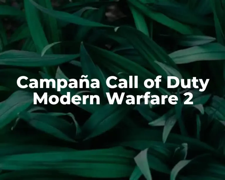 Campaña Call of Duty Modern Warfare 2