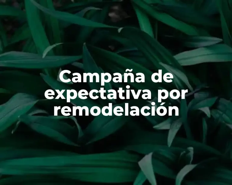 Campaña de expectativa por remodelación