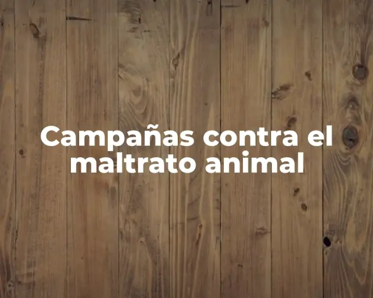 Campañas contra el maltrato animal