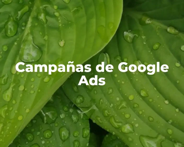 Campañas de Google Ads