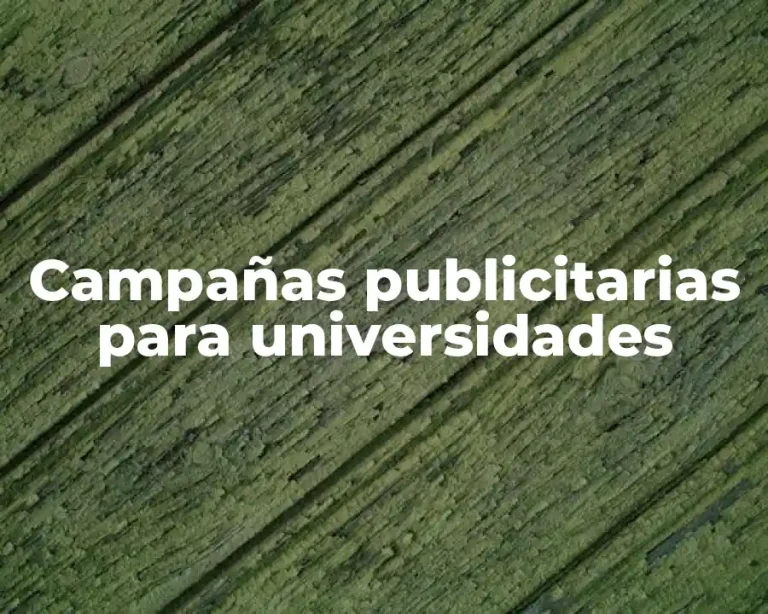 Campañas publicitarias para universidades