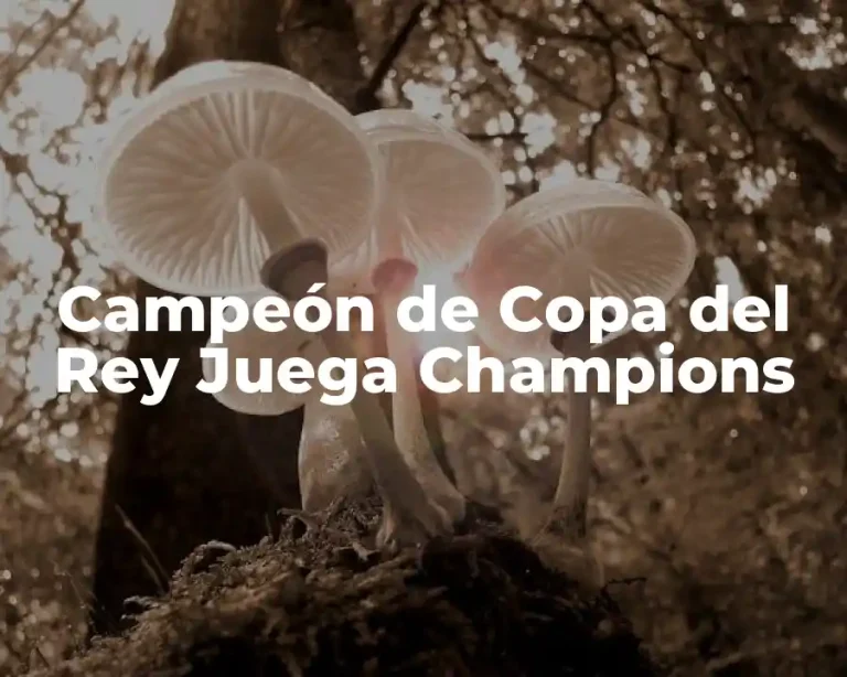Campeón de Copa del Rey Juega Champions
