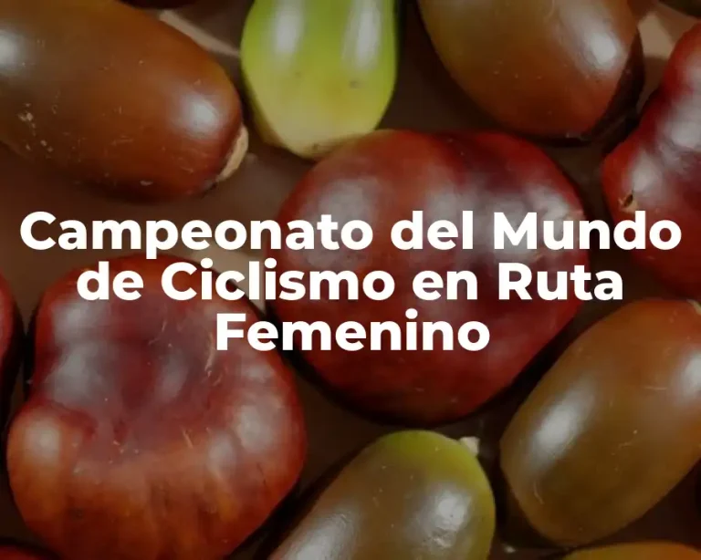 Campeonato del Mundo de Ciclismo en Ruta Femenino