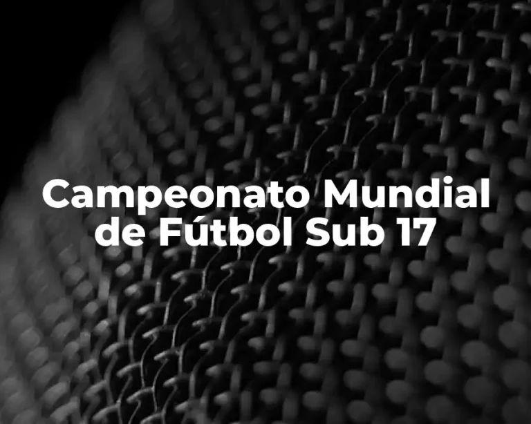 Campeonato Mundial de Fútbol Sub 17