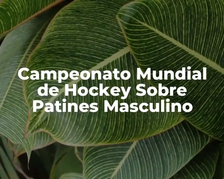 Campeonato Mundial de Hockey Sobre Patines Masculino